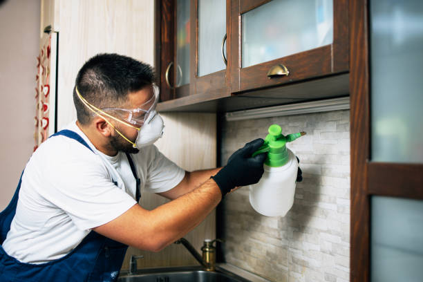 Best Affordable Pest Control Services  in Pecan Acres, TX