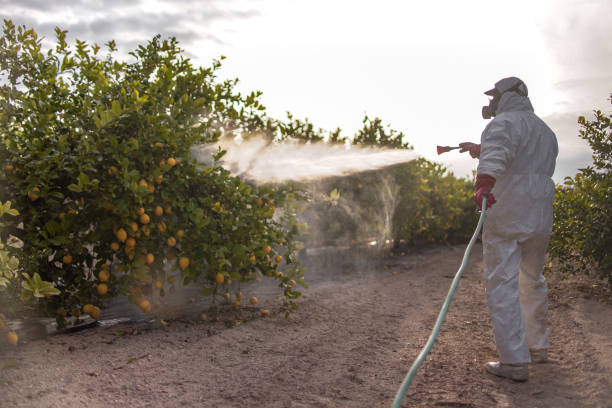 Best Emergency Pest Control  in Pecan Acres, TX