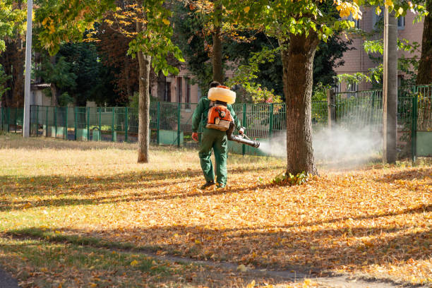 Best Exterminator Services  in Pecan Acres, TX